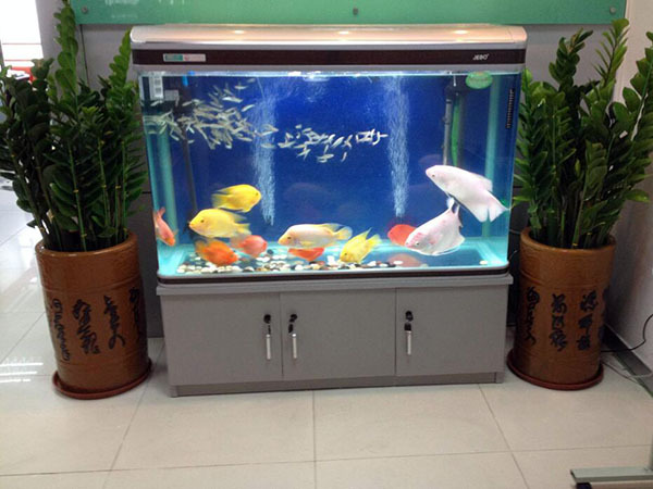 慈世堂：办公室养鱼风水学之鱼缸的摆放